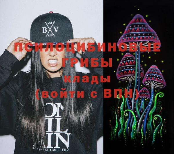 амф Вяземский