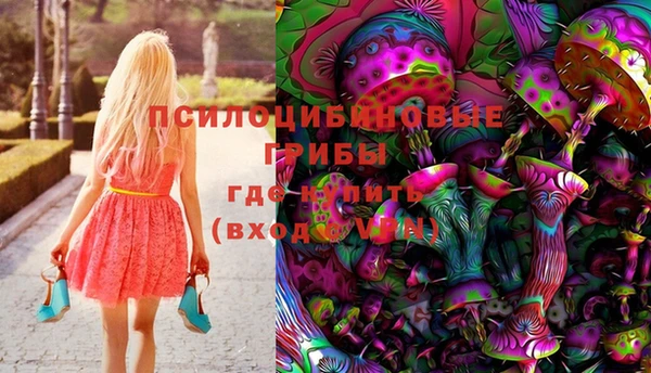 амф Вяземский