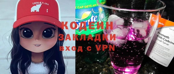 амф Вяземский