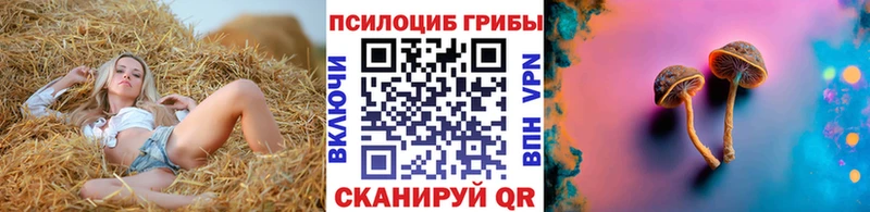 mega ONION  Дигора  Галлюциногенные грибы Magic Shrooms 